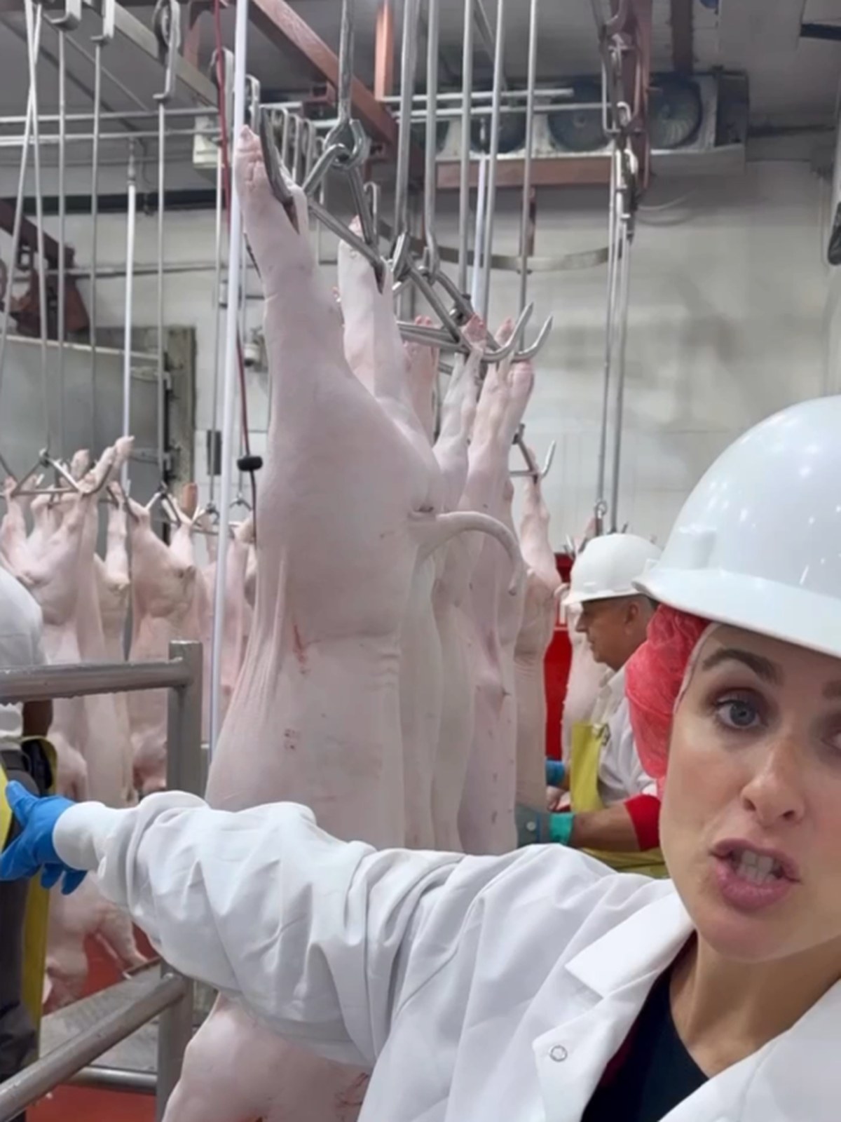 Mary's Ranch staff in full protective gear inside the USDA-inspected facility