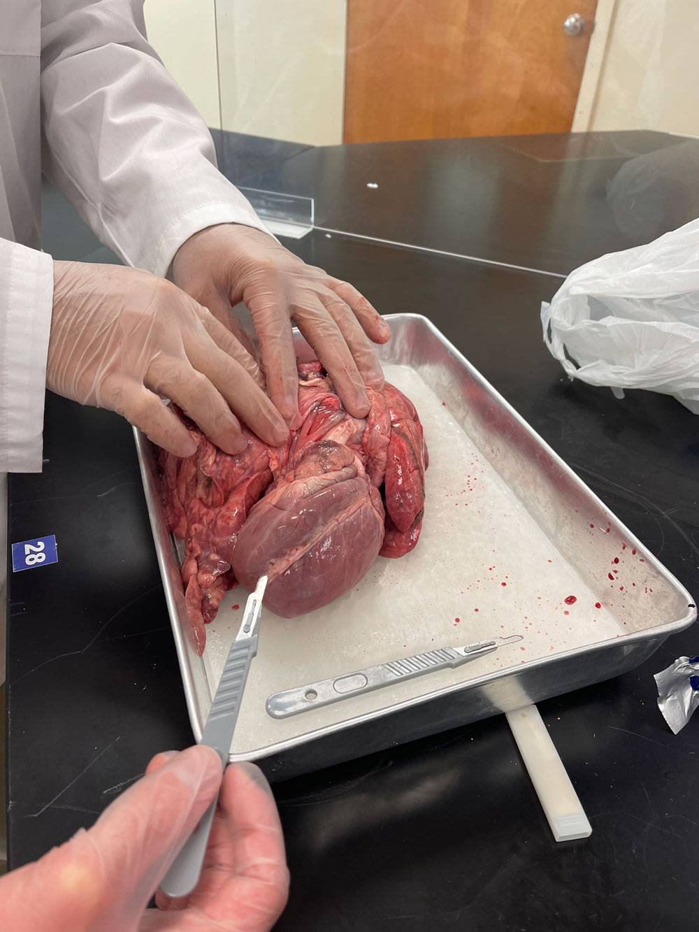 Nuestros productos se utilizan para información médica y educación
