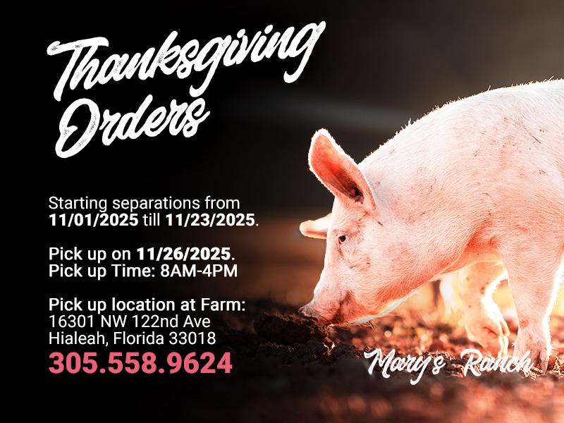 Thanksgiving Whole Pig